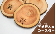 天然巨木の枝から作った一点物 コースター 【nnks001】