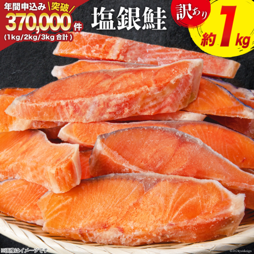 訳あり 銀鮭 切身 約1kg [宮城東洋 宮城県 気仙沼市 20564663] 鮭 海鮮 規格外 不揃い さけ サケ 鮭切身 シャケ 切り身 冷凍 家庭用 訳アリ おかず 弁当 支援 サーモン 銀鮭切り身 魚 わけあり 2362248 - 宮城県気仙沼市