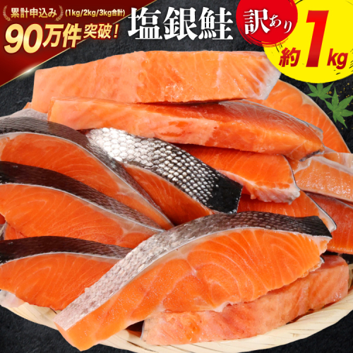 訳あり 銀鮭 切身 約1kg [宮城東洋 宮城県 気仙沼市 20564663] 鮭 海鮮 規格外 不揃い さけ サケ 鮭切身 シャケ 切り身 冷凍 家庭用 訳アリ おかず 弁当 支援 サーモン 銀鮭切り身 魚 わけあり 2362248 - 宮城県気仙沼市