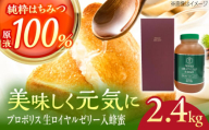 コハマのハチミツ プロポリス 生ローヤルゼリー入蜂蜜 2.4kg×1本 蜂蜜 はちみつ ハチミツ 国産 ギフト 年内発送 沖縄市 / 農業生産法人株式会社小浜養蜂場 [BCAQ008]