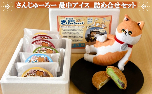 さんじゅーろー 最中アイス 詰め合わせ セット（6個入り）  2362631 - 岡山県高梁市