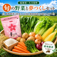 【定期便 年6回】おいしかぁ～便 詰め合わせセット 6ヶ月 お楽しみ ファミリーセット 家族用 野菜 やさい 米 新鮮 新鮮野菜 家庭用 新鮮 福岡県 大刀洗町