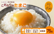 【品種を選べる】かわなべ鶏卵農場のこだわりのたまご75個 深美卵/こだわり 国産 青梅市産 鶏 鳥 卵 たまご タマゴ 玉子 朝食 卵かけご飯 ＴＫＧ ゆでたまご 赤玉 卵黄 卵白 健康 青梅市 [№5714-7024]