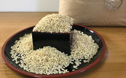 米 令和5年産 加東市産 ヒノヒカリ 玄米 10kg 23632 - 兵庫県加東市