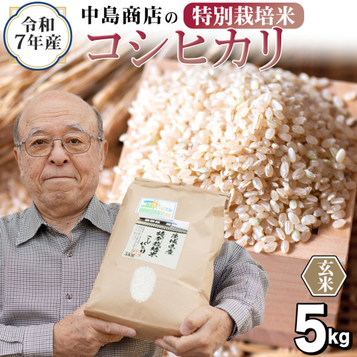 ＜ 新米 ＞ 令和7年産 茨城県産 玄米 特別栽培米 コシヒカリ 5kg （5kg×1袋） こしひかり 米 コメ こめ 単一米 限定 茨城県産 国産 美味しい お米 おこめ おコメ[EH35-NT] 2363324 - 茨城県つくばみらい市