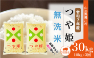 [令和7年産米] 特別栽培米 つや姫 [無洗米] 定期便 30kg (10kg×1ヶ月間隔で3回お届け)[配送時期選べます] 山形県鮭川村
