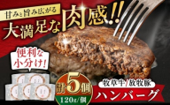 [お歳暮対象][牧草牛×放牧豚]ハンバーグ 5個 [厚真町][GOODGOOD株式会社] ハンバーグ 牛肉 豚肉 ジビエ 小分け 冷凍配送 北海道 [AXBP006]