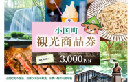 【ASOおぐに観光協会】熊本 阿蘇 小国町 杖立温泉 わいた温泉郷 湯けむり 蒸し湯 ジャージー牛乳 小国杉 旅行 観光 宿泊 飲食 お買い物 お土産 商品券 宿泊券 1000円券 3枚 3千円 現地払い利用 地域振興 旅行支援 現地受け取り対応