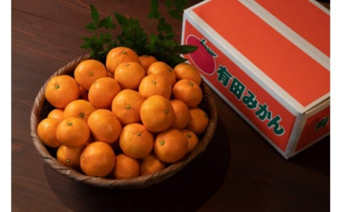 採れたて甘い手摘み有田みかん 5kg M・Lサイズ 2364033 - 和歌山県有田川町