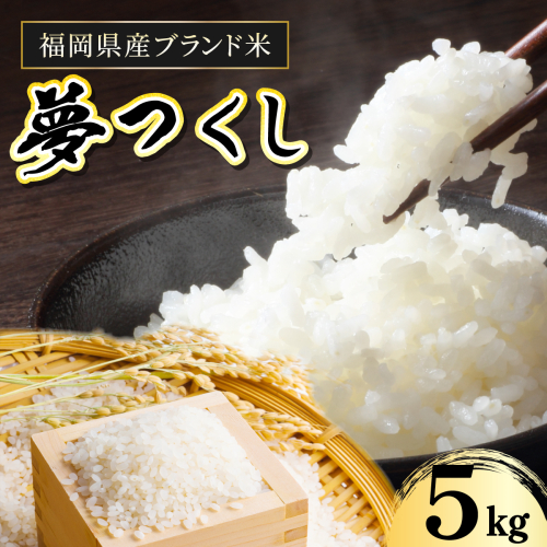 【令和7年産】福岡県産夢つくし5kg 2364194 - 福岡県篠栗町