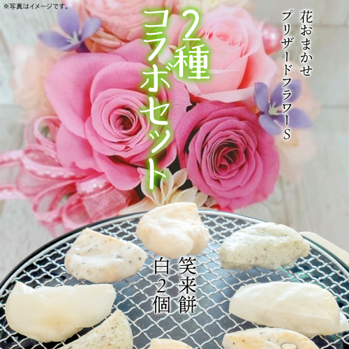 【 筑西市 ふるさと納税限定 コラボ 】 《 花色 おまかせ プリザーブド フラワー S 》《 笑来餅 2個 セット（白2個） 》 アレンジメント 生花 ギフト プレゼント 誕生日 記念日 敬老 餅 もち もち米 [ZZ048ci] 2364200 - 茨城県筑西市