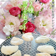 【 筑西市 ふるさと納税限定 コラボ 】 《 季節のお花アレンジメントS 》《 笑来餅 2個 セット（白2個） 》 アレンジメント 生花 ギフト プレゼント 誕生日 記念日 敬老 餅 もち もち米 [ZZ047ci]