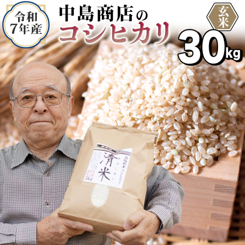 ＜ 新米 ＞ 令和7年産 茨城県産 玄米 コシヒカリ 30kg（30kg×1袋） 清米 キヨシマイ こしひかり 米 コメ こめ 単一米 限定 茨城県産 国産 美味しい お米 おこめ おコメ [EH31-NT] 2364330 - 茨城県つくばみらい市