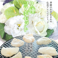 【 筑西市 ふるさと納税限定 コラボ 】 《 季節のお花の仏花アレンジメントS 》《 笑来餅 2個 セット（白2個） 》 アレンジメント 生花 ギフト プレゼント 誕生日 記念日 敬老 餅 もち もち米 [ZZ049ci]