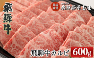 [年内順次発送]飛騨牛カルビ焼肉 600g 国産 牛肉 ブランド牛[冷凍]年内配送 年内発送 年内に届く 年内お届け 焼き肉 おすすめ ギフト 贈答 高級 カルビ 焼肉用 牛 牛肉 飛騨萩原畜産 下呂市 飛騨牛