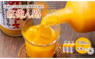 みかんジュース 720ml×6本セット『紅俺ん路（べにおれんじ）』糖度12度以上100%ストレート