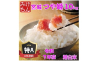 令和7年産 宮城県産 つや姫 精米 白米 10kg ◆8年連続最高評価特A受賞【1683735】