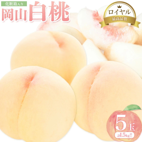 【2026年先行予約】岡山白桃 5玉 (1.5kg以上) 等級ロイヤル 化粧箱入り 株式会社山博 (中本青果)《2026年7月上旬‐8月中旬頃出荷》岡山県 笠岡市 桃 もも フルーツ 旬 果物 国産 岡山県産 送料無料 冷蔵 化粧箱【配送不可地域あり】 2365433 - 岡山県笠岡市