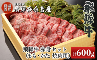 [年内順次発送]飛騨牛赤身焼肉セット 600g(もも焼肉 300g・かた焼肉 300g)焼肉 焼き肉用 飛騨牛 赤身 最高級 国産 牛肉 ブランド牛 和牛 焼き肉 ギフト 贈答 [冷凍]年内配送 年内発送 年内に届く 年内お届け