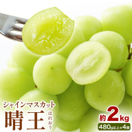 【2026年先行予約】シャインマスカット 晴王 はれおう 4房(1房480g以上) 約2kg 株式会社山博《2026年8月下旬-10月下旬頃出荷》岡山県 笠岡市 晴王 ぶどう マスカット 大粒 フルーツ 秀品 旬 果物 贈り物 ギフト 送料無料【配送不可地域あり】