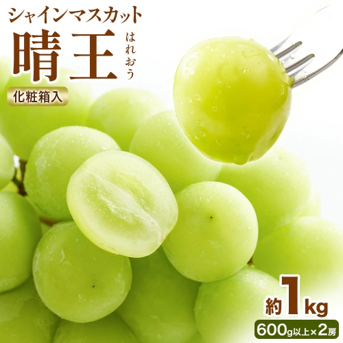 【2026年先行予約】シャインマスカット 晴王 はれおう 2房(1房600g以上) 約1kg 化粧箱入 株式会社山博《2026年8月下旬-10月下旬頃出荷》岡山県 笠岡市 晴王 ぶどう マスカット 大粒 果物 国産 送料無料【配送不可地域あり】 2365525 - 岡山県笠岡市