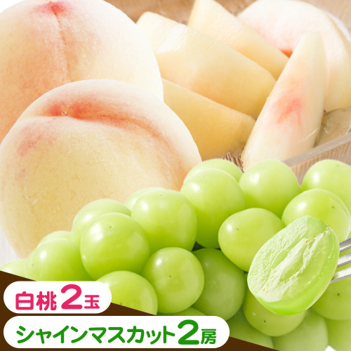 【2026年先行予約】桃 ぶどう 詰合 岡山白桃 2玉(1玉220g以上) シャインマスカット 晴王 2房(1房480g以上) 化粧箱入り 株式会社山博《2026年7月下旬-8月中旬頃出荷》岡山県 笠岡市 フルーツ 果物 葡萄 マスカット もも お取り寄せ【配送不可地域あり】 2365530 - 岡山県笠岡市
