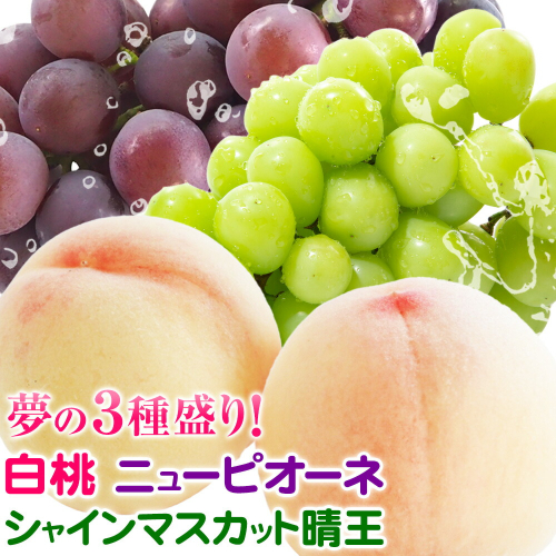 【2026年先行予約】桃 ぶどう 詰合 岡山白桃 2玉(1玉220g以上) ニューピオーネ1房(1房480g以上) シャインマスカット 晴王 1房(1房480g以上) 化粧箱入 株式会社山博《2026年7月下旬-8月中旬頃出荷》岡山県 笠岡市 フルーツ 果物 葡萄 マスカット もも お取り寄せ【配送不可地域あり】 2365531 - 岡山県笠岡市