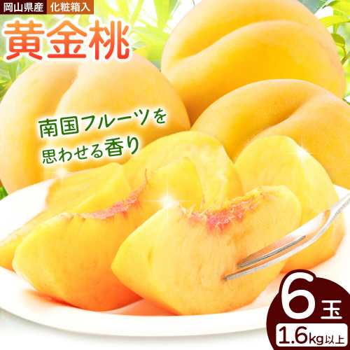 【2026年先行予約】桃 岡山県産 黄金桃 6玉 1.6kg以上 株式会社山博《2026年8月下旬-9月中旬頃出荷》もも フルーツ 化粧箱入り 岡山県 笠岡市 送料無料【配送不可地域あり】 2365536 - 岡山県笠岡市