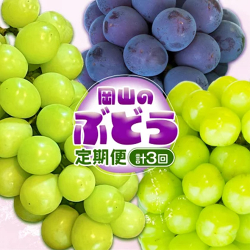 【3回定期便】ぶどう 定期便 計3回コース 岡山県産 シャインマスカット 晴王 ニューピオーネ マスカットオブアレキサンドリア 化粧箱入り 株式会社山博《2026年7月上旬-9月末頃出荷》岡山県 笠岡市 フルーツ 果物 定期 ぶどう マスカット【配送不可地域あり】 2365537 - 岡山県笠岡市