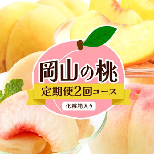 【2回定期便】桃 岡山の桃定期便 2回コース 岡山県産 岡山白桃 黄金桃 株式会社山博《2026年7月上旬-9月末頃出荷》岡山県 笠岡市 フルーツ 果物 白桃 もも お取り寄せ【配送不可地域あり】 2365539 - 岡山県笠岡市