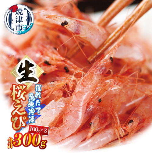 a10-1249　生桜えび100g×3パック 合計300g
 2365586 - 静岡県焼津市