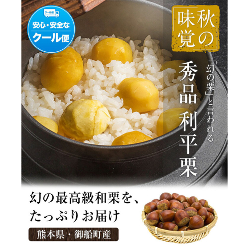 利平栗 熊本県御船町産限定 約1kg(3L-2Lサイズ 《2026年9月上旬-10月上旬出荷》 送料無料 期間限定 野菜 予約 スイーツ きんとん 甘露煮 渋皮煮 栗ご飯 熊本県御船町 2366376 - 熊本県御船町