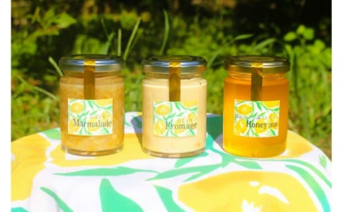 泉北レモン（R）至福の3本セット（マーマレード・フロマージュ・レモンはちみつ） 2366378 - 大阪府堺市