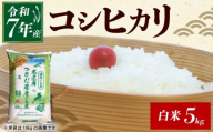 令和7年産 コシヒカリ 白米 5kg 米 コメ お米 新米 ご飯 ごはん こしひかり おにぎり お弁当 滋賀 彦根