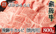[年内順次発送]飛騨牛カルビ焼肉用(800g)最高級 国産 牛肉 ブランド牛 和牛 大容量 焼き肉用 おすすめ 贈答 ギフト [冷凍]年内配送 年内発送 年内に届く 年内お届け