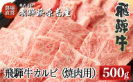 [年内順次発送]飛騨牛カルビ焼肉用(500g)最高級 国産 牛肉 ブランド牛 牛 焼き肉 ギフト 贈答 飛騨牛 焼き肉 焼肉 [冷凍]年内配送 年内発送 年内に届く 年内お届け
