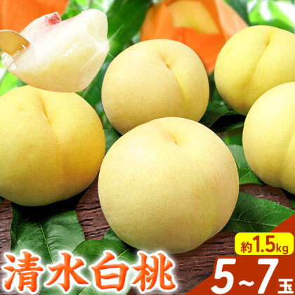 【2026年先行予約】桃 もも 清水白桃 5～7玉 約1.5kg 岡山県産 環山堂株式会社【配送不可地域あり】《2026年7月中旬-7月下旬頃出荷》岡山県 浅口市 白桃 果物 フルーツ 送料無料 2366893 - 岡山県浅口市