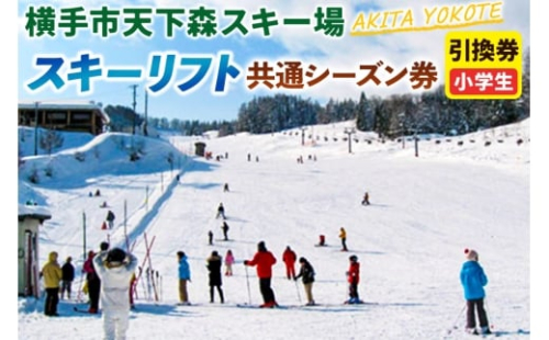 横手市天下森スキー場 スキーリフト共通シーズン券（小学生）引換券 ゆうパケット 2366906 - 秋田県横手市