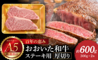 [お歳暮 ギフト のし 対応可]百年の恵み おおいた和牛A5 ステーキ用厚切り[厳選部位]約600g[12月13日〜20日内にお届け] 肉 牛肉 黒毛和牛 ステーキ 厚切り 厳選部位 おおいた和牛 豊後牛 国産 ロース・肩ロース・サーロイン 肉質 A4 A5 お歳暮 贈り物 A01104-O