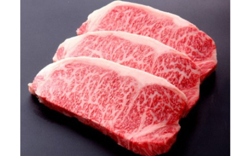 おおいた豊後牛 サーロインステーキ 計540g(180g×3枚)【1097486】 236692 - 大分県津久見市