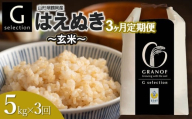 [令和7年産][新米][定期便3ヶ月] Gセレクション はえぬき「玄米」 5kg (5kg×1)×3ヶ月 山形県鶴岡市産 株式会社グラノフ