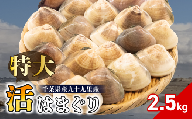 天然 活はまぐり 100-140gサイズ 約2.5kg 活 はまぐり 蛤 砂抜き 冷蔵 九十九里産 魚介 魚貝 魚介類 海鮮 貝 貝類 出汁 だし 味噌汁 酒蒸し グラタン 九十九里浜 お祝い 祝い ひなまつり 節句 おせち 贅沢 人気 おすすめ 贈答 ギフト お取り寄せ 株式会社丸六 旭市 千葉県 mrk002