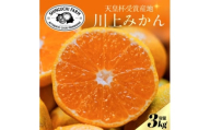 ＜天皇杯受賞産地＞川上みかん 3kg＜小玉＞＜愛媛県八幡浜市＞新口農園厳選＜A70-121＞【1683965】