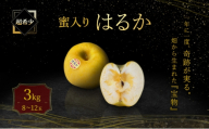 [先行予約] はるか 超希少蜜入り りんご 3kg 林檎 リンゴ 果物 フルーツ おやつ デザート 旬の果物 旬のフルーツ 季節の果物 季節のフルーツ 岩手りんご 国産 産地直送 くだもの お取り寄せ 特産品 名産品 ご当地 自宅用 朝食 甘い 蜜入り 希少 岩手県 盛岡市 東北 岩手 盛岡 峰崎果樹園 minezaki006