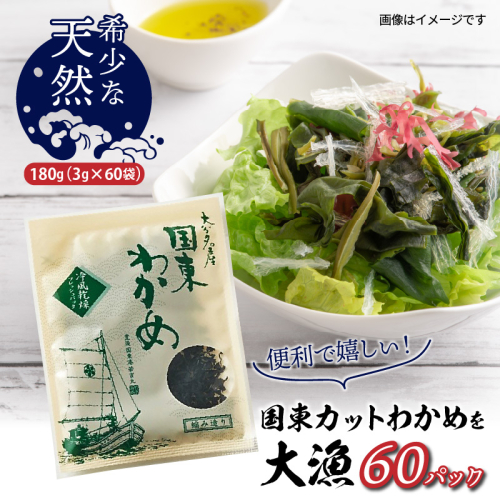 便利で嬉しい！国東カットわかめを大漁60パック_0005N-2 2367300 - 大分県国東市