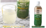 成城石井 ジンジャーエール 500ml×24本×5箱セット