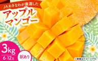 ＜2026年6月から順次発送・訳あり＞アップルマンゴー3.0kg(6～12玉)【1681762】