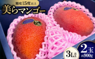 ＜2026年6月から順次発送・数量限定＞糖度15度以上を選別した「美らマンゴー」約900g(2玉)【1681771】