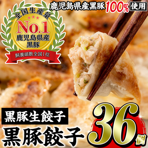 No.1327-n 鹿児島黒豚使用の黒豚生餃子(計36個・12個入り×3パック) 国産 九州産 ぎょうざ 冷凍 黒豚 豚肉 お肉 おかず【末永商店】 2367653 - 鹿児島県日置市