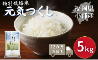 定期便 12回 特別栽培米 福岡県 小郡産 元気つくし 5kg 米 お米 12ヶ月